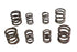 Sifton Sifton Valve Spring - 13-0102