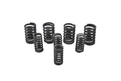 Eastern Valve Spring Kit - 13-0104