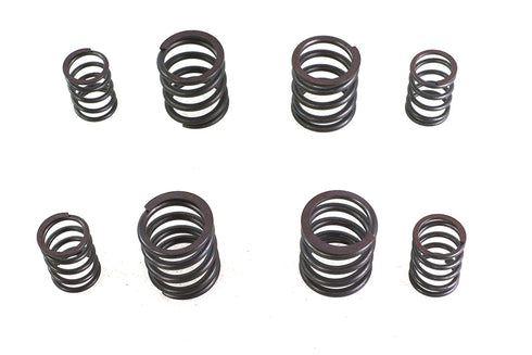V-Twin Valve Spring Set - 13-0169