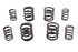 V-Twin Valve Spring Set - 13-0169