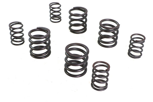 V-Twin Valve Spring Set - 13-0169