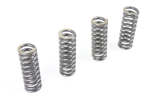 V-Twin 45 inch WR Valve Spring Set - 13-0190
