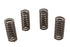 Eastern Valve Spring Set - 13-0222