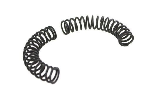 V-Twin Pawl Carrier Spring Set - 13-1955