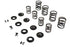 Kibblewhite Kibblewhite Valve Spring Kit - 13-2115