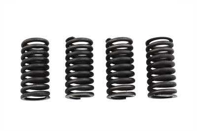 Eastern Valve Spring Set - 13-9153