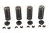 Eastern Valve Spring Kit - 13-9188