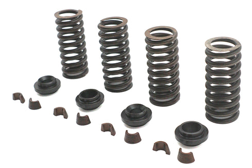 Eastern Valve Spring Kit - 13-9188