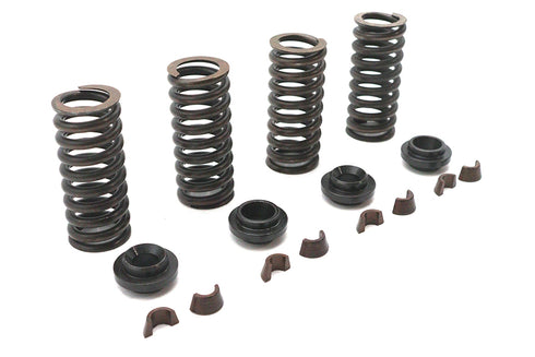 Eastern Valve Spring Kit - 13-9188