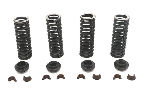 Eastern Valve Spring Kit - 13-9189