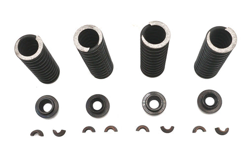 Eastern Valve Spring Kit - 13-9189