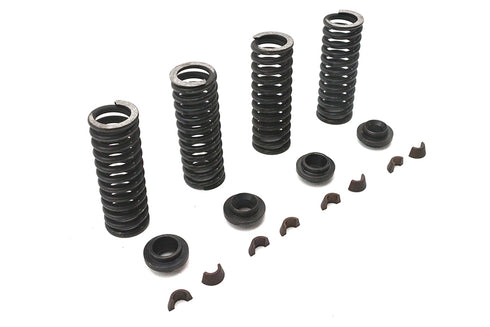 Eastern Valve Spring Kit - 13-9189