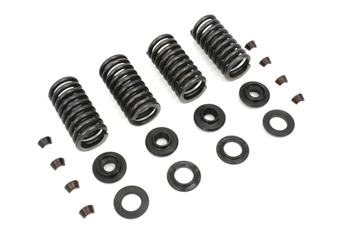 Eastern Valve Spring Kit - 13-9190