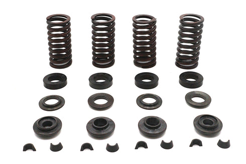 Eastern Valve Spring Kit - 13-9191