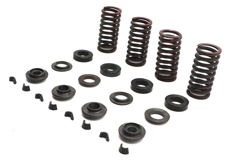 Eastern Valve Spring Kit - 13-9191
