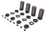 Eastern Valve Spring Kit - 13-9191