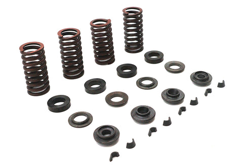 Eastern Valve Spring Kit - 13-9191