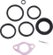 ARLEN NESS 6 Piston Caliper Rebuild Kit 320-000