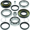 QuadBoss 97-20 Honda TRX250 FourTrax Recon Rear Differential Bearing & Seal Kit