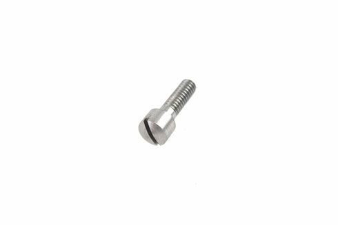 V-Twin Transmission Case Vent Screw Zicad Plated - 17-1867