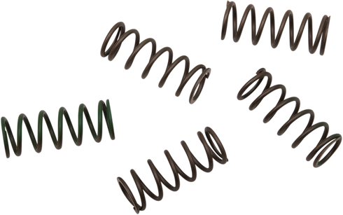 HINSON RACING Hi-Temp Clutch Spring Kit - Honda/Husqvarna/KTM/Suzuki CS294-5-0109