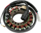 RICK'S MOTORSPORT ELECTRIC Stator - Honda 21-601