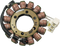 RICK'S MOTORSPORT ELECTRIC Stator - Aprilia 21-030