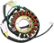 RICK'S MOTORSPORT ELECTRIC Stator - Honda 21-149