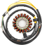 RICK'S MOTORSPORT ELECTRIC Stator 21-567