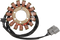 RICK'S MOTORSPORT ELECTRIC Stator - Ducati 21-032