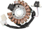 RICK'S MOTORSPORT ELECTRIC Stator - Benelli Scooter 21-427