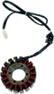RICK'S MOTORSPORT ELECTRIC Stator - Honda 21-111