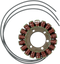 RICK'S MOTORSPORT ELECTRIC Stator - Yamaha 21-408