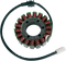 RICK'S MOTORSPORT ELECTRIC Stator - Yamaha 21-409