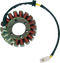 RICK'S MOTORSPORT ELECTRIC Stator - Honda 21-113
