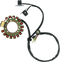 RICK'S MOTORSPORT ELECTRIC Stator - Yamaha 21-900