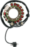 RICK'S MOTORSPORT ELECTRIC Stator - Yamaha 21-904