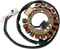RICK'S MOTORSPORT ELECTRIC Stator - Yamaha 21-910