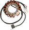 RICK'S MOTORSPORT ELECTRIC Stator - Yamaha 21-911