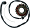 RICK'S MOTORSPORT ELECTRIC Stator - Kawasaki 21-216