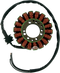 RICK'S MOTORSPORT ELECTRIC Stator - Yamaha 21-410
