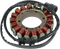 RICK'S MOTORSPORT ELECTRIC High-Output Stator - Yamaha 21-706H