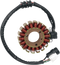 RICK'S MOTORSPORT ELECTRIC High-Output Stator - Yamaha 21-966H