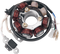 RICK'S MOTORSPORT ELECTRIC High-Output Stator - Honda 21-602H