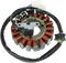 RICK'S MOTORSPORT ELECTRIC High-Output Stator - Suzuki 21-801H
