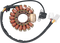 RICK'S MOTORSPORT ELECTRIC Stator - Yamaha 21-912