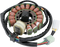RICK'S MOTORSPORT ELECTRIC Stator - Yamaha 21-916