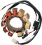 RICK'S MOTORSPORT ELECTRIC Stator - Arctic Cat 24-001