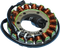 RICK'S MOTORSPORT ELECTRIC Stator - Kawasaki 21-224