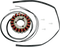RICK'S MOTORSPORT ELECTRIC Stator - Suzuki 21-309